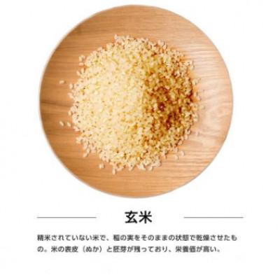 ふるさと納税 潟上市 【毎月定期便】秋田県産あきたこまち 5kg(玄米)全12回 |  | 01