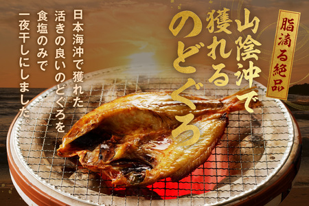 山陰浜田 香住屋のこだわり干物「大きめのどぐろ一夜干し」（3～4尾） 魚介類 のどぐろ 一夜干し 干物 ふるさと納税 のどくろ セット 【658】