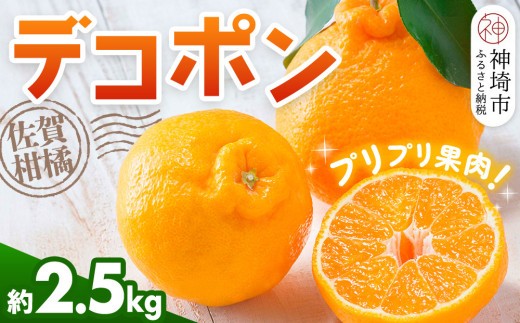 
                  【令和8年2月より発送】佐賀県産柑橘『デコポン』約2500g【果物 フルーツ でこぽん みかん 柑橘 ジューシー 濃厚な甘み ふるさと納税】(H108111)
                