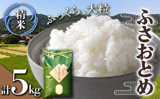 令和7年産米 新米 ふさおとめ 精米 5kg （5kg×1袋）白米 お米 ご飯 米 千葉県 鋸南町 F22X-138