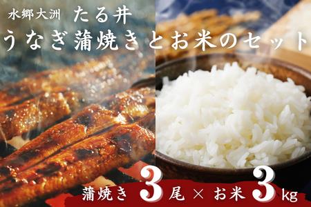 国産うなぎ！秘伝のタレで焼き上げた「うなぎ蒲焼き 3尾」と地元生産者こだわりの「お米 3kg」セット　愛媛県大洲市/有限会社 樽井旅館[AGAH005]国産うなぎギフト国産うなぎギフト国産うなぎギフト国産うなぎギフト国産うなぎギフト国産うなぎギフト国産うなぎギフト国産うなぎギフト国産うなぎギフト国産うなぎギフト国産うなぎギフト国産うなぎギフト国産うなぎギフト国産うなぎギフト国産うなぎギフト国産うなぎギフト国産うなぎギフト国産うなぎギフト国産うなぎギフト国産うなぎギフト国産うなぎギフト国産うなぎギフト国産うな