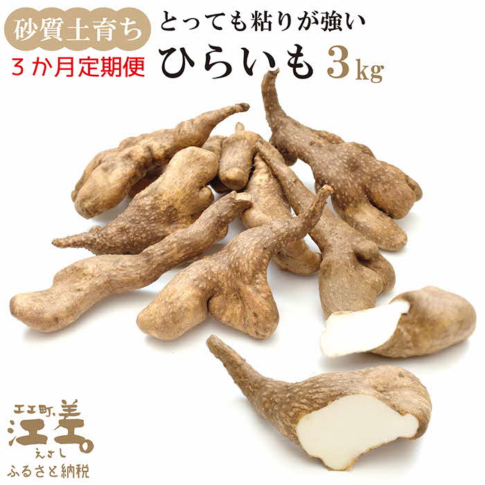 【早期予約10月より出荷予定】《3か月定期便》北海道産 ひらいも 3kg／毎月お届け　砂質土育ち とっても粘りが強い 北海道の山芋　もちもち食感　露地もの　無漂白　ねばり芋　やまと芋　長芋　自然薯　山かけ　とろろ　いももち　豚汁