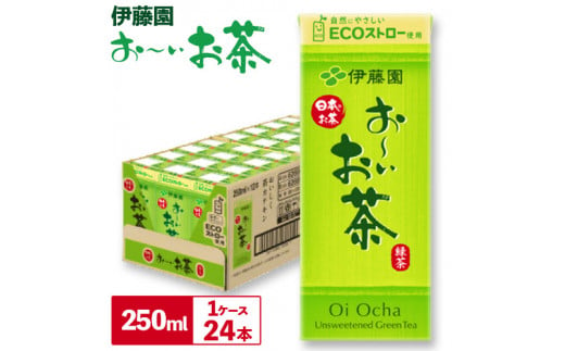 紀の川市産 紙パック飲料 おーいお茶 250ml×24本 1ケース 株式会社伊藤園 《30日以内に出荷予定(土日祝除く)》 和歌山県 紀の川市 お茶 おーいお茶 緑茶 日本茶 送料無料