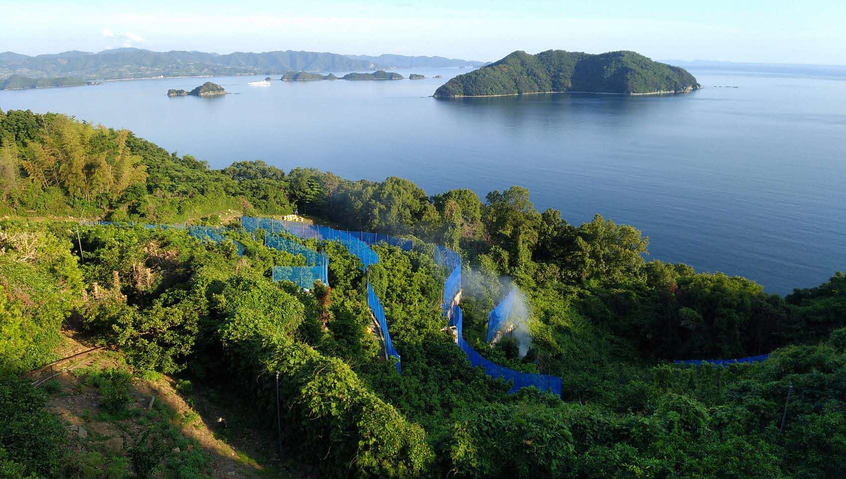 ハーフ＆ハーフジュースセット≪高級柑橘愛果28号使用≫（1000ml×3本）  【ふるさと納税 人気 おすすめ ランキング ジュース みかんジュース オレンジジュース 柑橘 みかん 温州みかん 愛果2