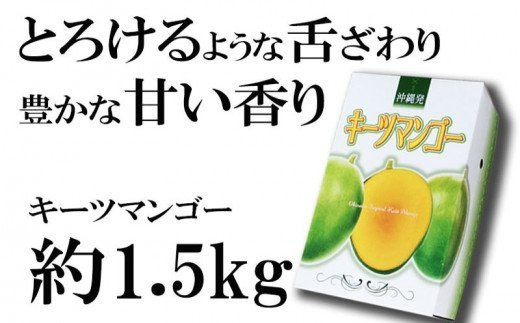 【先行受付】【2025年発送】神谷ファームのキーツマンゴー 約1.5kg