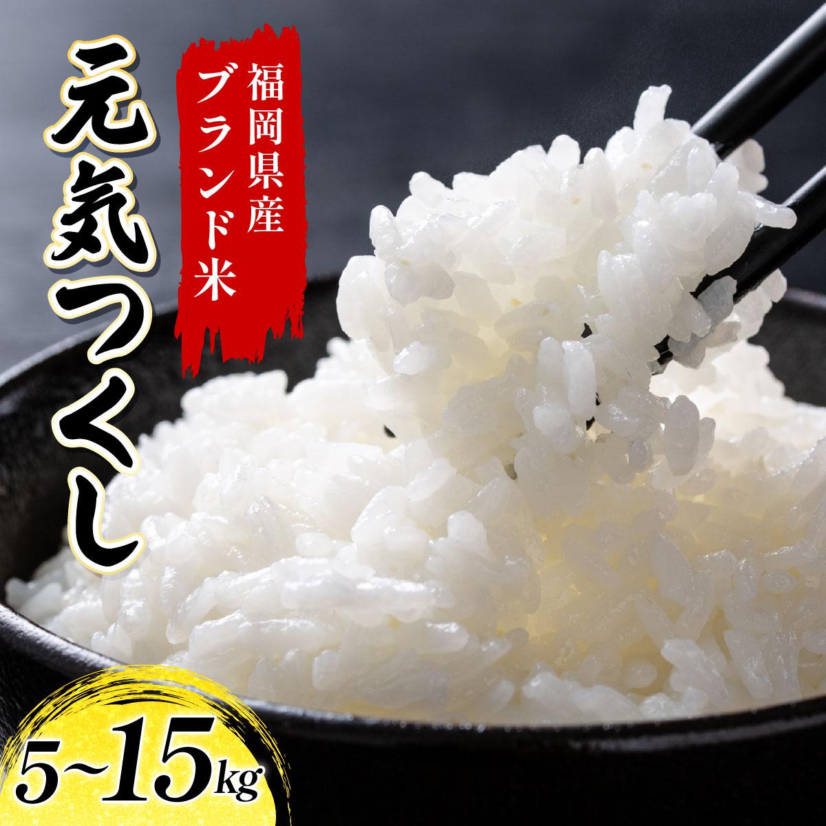 【ふるさと納税】＜選べる容量＞福岡県産米 元気つくし 精米 (5kg〜15 kg) 令和6年産【精米 6年産 国産 福岡県産 お米 ブランド米 5kg 10kg 15kg 選べる容量 げんきつくし】CY011-013