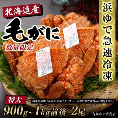 ふるさと納税 白老町 【浜ゆで自社タグ付】北海道産ボイル毛ガニ900g〜1000g前後×2尾 冷凍