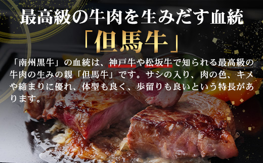 ≪全3回≫ 鹿児島県産 黒毛和牛 ◆ 贅沢 ステーキ 定期便 ◆ 南州黒牛 NS-27 ｜ 国産 牛 黒毛和牛 うし 牛肉 ロース サシ やわらかい 冷凍 ステーキ 肉定期便 定期便 鹿児島県 南大隅
