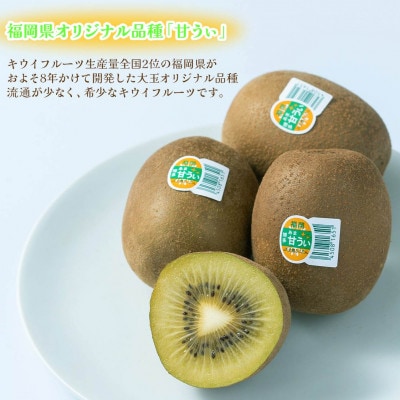 キウイ「甘うぃ(あまうぃ)」約1.5kg箱(12-15玉)福岡限定!ブランド(宇美町)【先行受付】【配送不可地域：離島】
