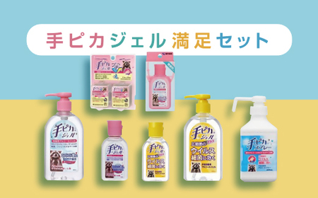 手ピカ満足セット【アルコール消毒】（指定医薬部外品）【3-139】