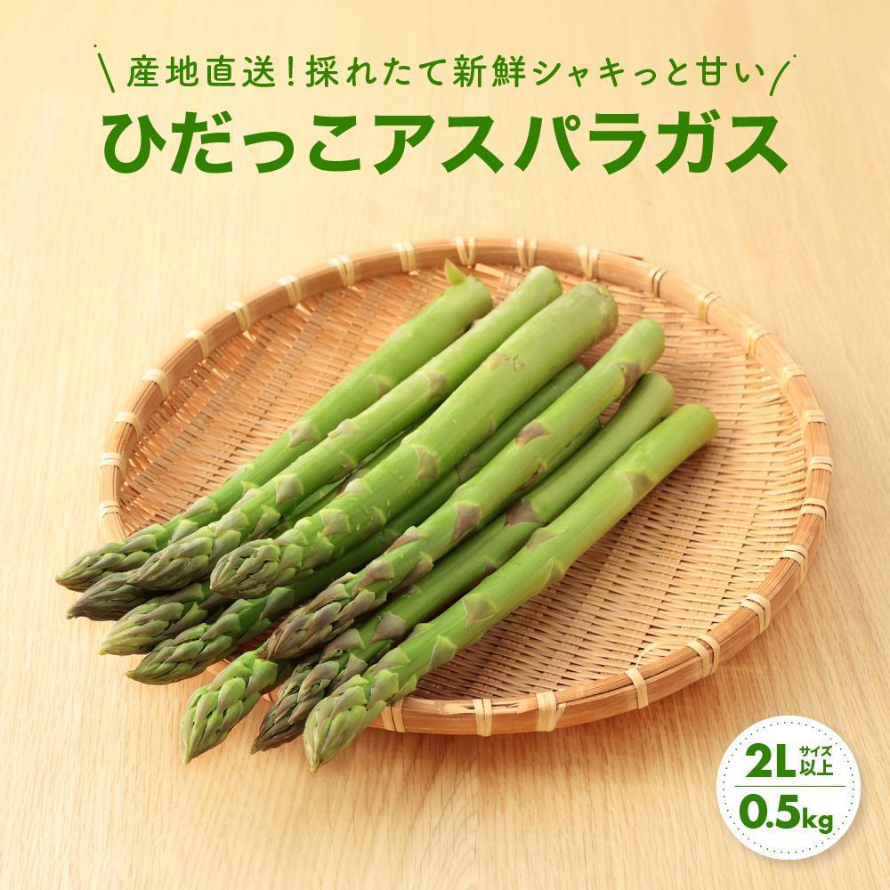 【ふるさと納税】【2025年発送】2Lサイズ以上 ひだっこアスパラガス 0.5kg | アスパラ 野菜 やさい 産地直送 春 夏野菜 採れたて グリーンアスパラガス 期間限定 人気 おいしい ひだっこの里 CM003VC01