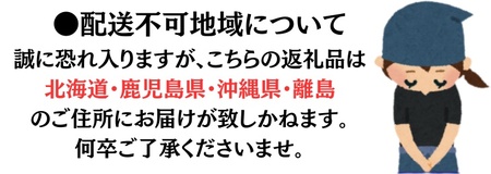 【2025年分予約】紀南の南高梅（Lサイズ）約3kg※2025年5月下旬～6月中旬頃順次発送予定 / 田辺市 果物 果実 くだもの かじつ 梅 青梅 生梅 梅干し うめぼし 梅酒 梅ジュース 梅シロッ