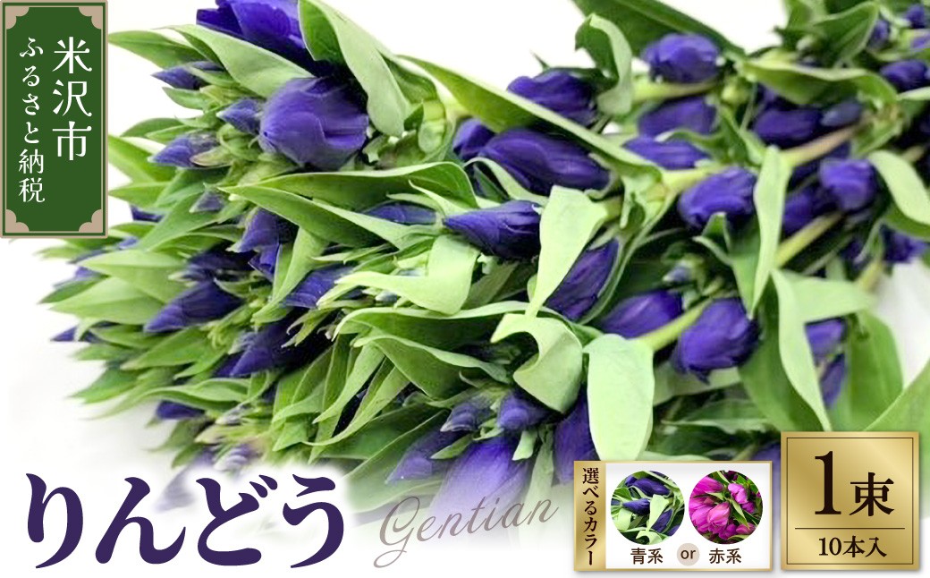 
                  【先行予約】 りんどう 青系 または 赤系 1束 10本入り 花 生花 切花 2026年8月上旬～9月中旬 お届け予定 山形県 米沢市
                