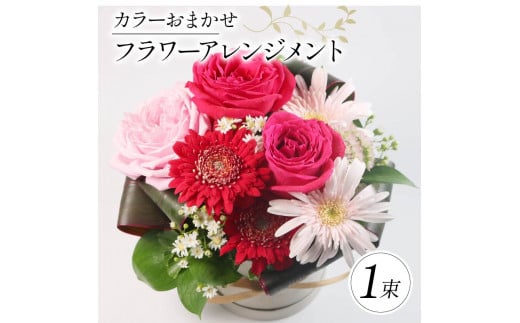 季節限定 フラワーアレンジメント カラーおまかせ 花束 ブーケ 花 お花 お祝い 贈答用 贈り物 誕生日 ギフト プレゼント 母の日 ラッピング インテリア おまかせ 大阪府 松原市