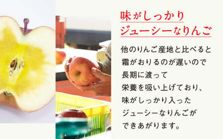 【サンふじ使用】 果汁100％りんごジュース 1L×3本 りんごジュース
