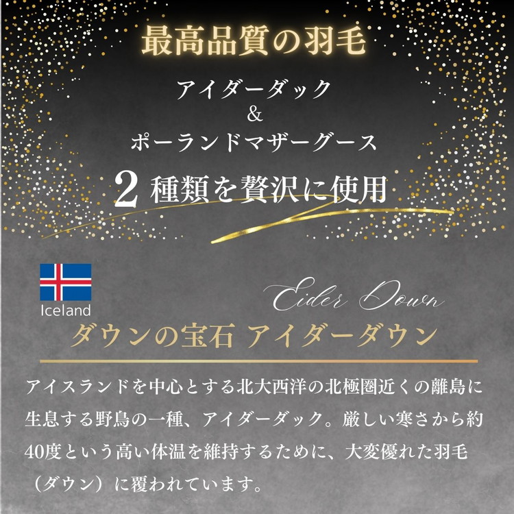 ＜京都金桝＞羽毛布団 クイーン 極暖 アイダーダウン ポーランドマザーグース95% ボリューム 特殊トリプルエアーキルト 日本製 ピンク／ブルー 冬用 布団 京都亀岡産 キャピタル トリプル