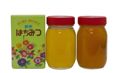 重森養蜂場のはちみつ 大容量2種2本セット（ソヨゴ・みかん各600g×1本）蜂蜜 ハチミツ お取り寄せ グルメ 三次市/ 重森養蜂場[APBO002]