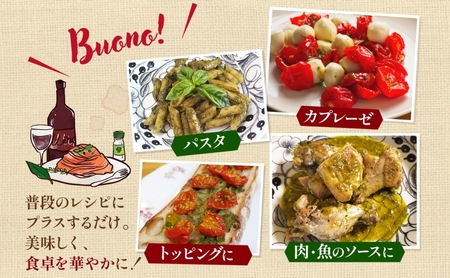 北海道 野菜 瓶詰め 2種 セット〈大〉バジル ペースト 100g セミドライ トマト オイル漬け 95g 各1個 計2個  2026年8月上旬から発送 ハーブ オリーブオイル 乾燥野菜 国産 パスタ