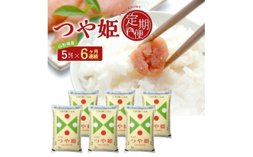 ≪6ヶ月定期便≫ 特別栽培米 つや姫 5kg×6ヶ月連続 計30kg 山形県産 精米 白米 庄内米 米 ごはん ご飯 酒田市 庄内 山形県 東北 農協 JAそでうら　SI0069