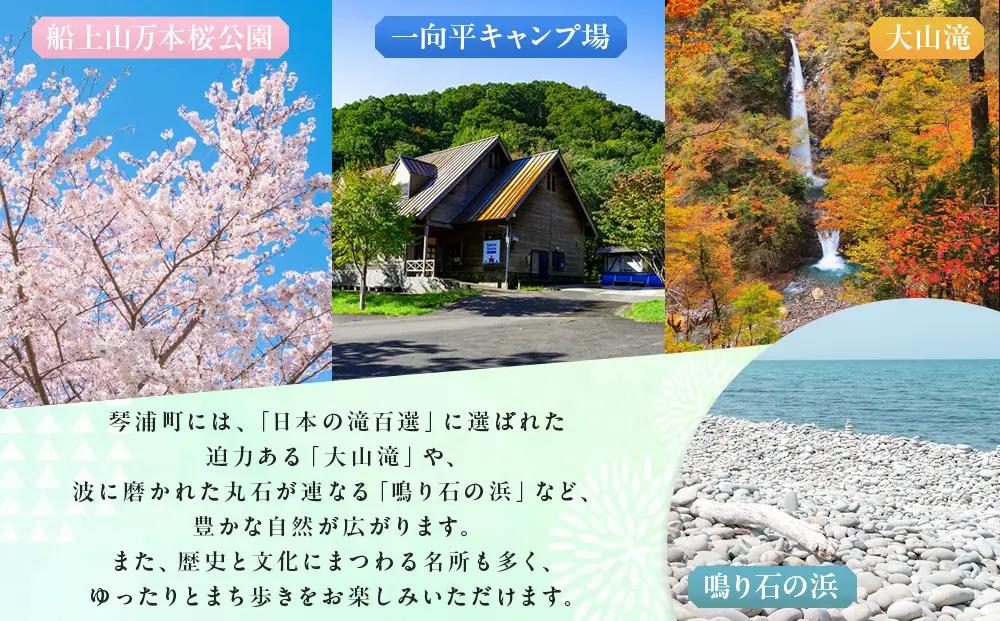 砂丘らっきょう 甘酢漬 180ｇ10袋入り らっきょう
