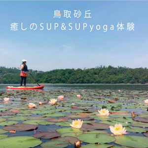 【1511】鳥取砂丘・癒しのSUP&サップヨガ体験