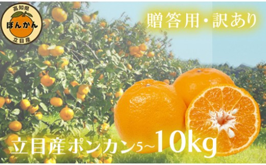 
                  【数量限定】 訳あり 立目産 ポンカン 5kg 10kg | ぽんかん 訳あり 秀品 家庭用 贈答用 おすすめ 産地直送 果物 フルーツ ふるさと納税みかん 柑橘 くだもの ミカン 果肉 蜜柑 ふるさと納税みかん ふるさと納税果物 ふるさと納税フルーツ 期間限定 国産 産地直送 果物類 果物の詰合せ みかん・柑橘類 みかん 高知県 須崎市 須崎  MO003-all
                