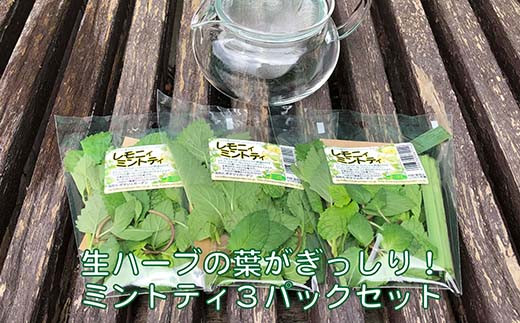 
                  【毎月限定４０品】フレッシュハーブの今から始められるティーセット
                