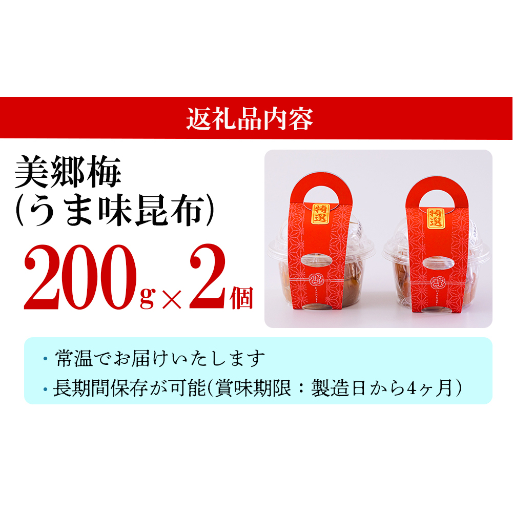 南高梅 梅干し 美郷梅 昆布 200g×2 3Lサイズ 塩分控えめ A級品 [農林産物直売所 美郷ノ蔵 宮崎県 美郷町 31ab0109] 国産 宮崎県産 美郷産 常温 送料無料 贈答品 父の日 母の