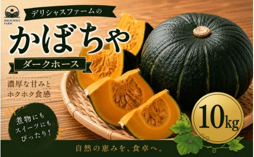 かぼちゃ 【デリシャスファームのかぼちゃ】ダークホース 10キロ  ※6月頃より順次発送予定  / 産地直送 カボチャ 南瓜 【delf037】