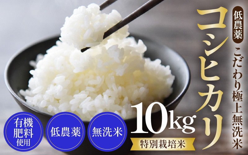 
                  【令和8年産】特別栽培米 コシヒカリ 10kg 無洗米 低農薬 《食味値85点以上！こだわり無洗米》 / 福井県 あわら 北陸 米 お米 人気 高品質 鮮度抜群 新米 [aw032-c012]
                