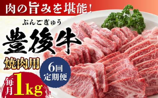 【全6回定期便】おおいた豊後牛 焼肉用 1kg(500g×2P) 日田市 / 株式会社MEAT PLUS　牛 うし 黒毛和牛 和牛 豊後牛 [AREI102]