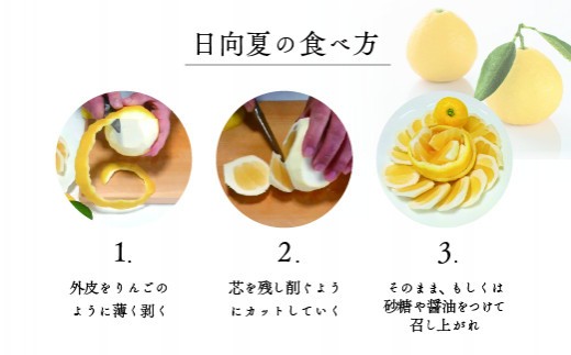 【先行受付】初春の旬「日向夏」種なし（オール葉付き）2.5kg 果物 フルーツ くだもの 柑橘 フルーツサンド おやつ スイーツ デザート ジャム おすすめ ギフト 贈り物 贈答 プレゼント おすそ分