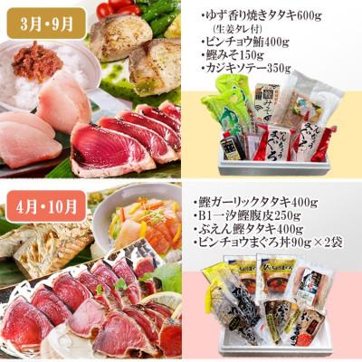 ふるさと納税 枕崎市 枕崎・お魚よりどり詰め合わせ定期便(6回配送)　FF-6005 |  | 02