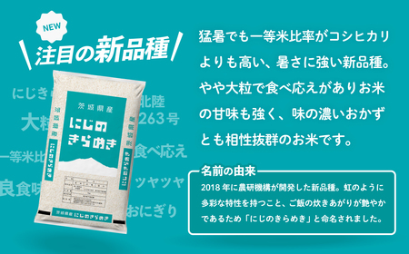 令和6年産 にじのきらめき スピード発送 米 お米 5kg (5kgx1袋) 令和6年産 令和6年産 令和6年産
