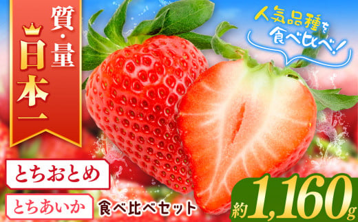 【2025年先行予約】 とちおとめ とちあいか 食べ比べ セット   (290g×4パック）約1160g | 日本一 いちご生産量 JAはが野 栃木県 代表 とちおとめ 真岡市 栃木県 送料無料 苺 ストロベリー 人気品種 フルーツ 果物