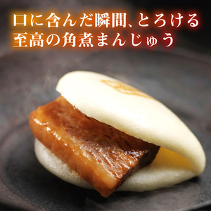 【全12回定期便】大とろ 角煮まんじゅう 10個(1箱)【 岩崎本舗 】《 対馬市 》冷凍 角煮 角煮まん 個包装 豚まん[WBC025]