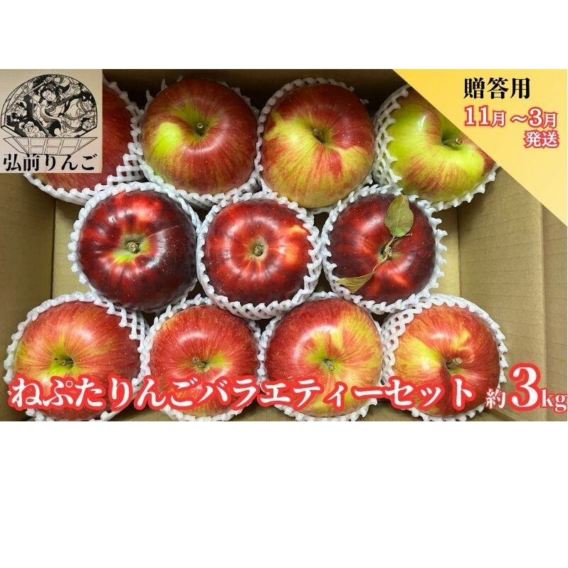 りんご 【11月～3月発送】 ねぷたりんご バラエティーセット 贈答用 約 3kg 【 品種おまかせ  弘前市産 青森りんご  果物類 フルーツ デザート スイーツ ジューシー 詰め合わせ  】