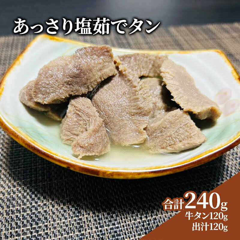【ふるさと納税】牛タン 宮城 あっさり塩茹でタン 120g タン塩 塩タン 温めるだけ 牛肉 牛 たん 肉 お肉 冷凍肉 味付き肉 おかず 惣菜 おつまみ つまみ 牛タンカレー 牛タンシチュー タンシチュー 煮物 おでん ギフト 贈答 冷凍 冷凍配送 宮城県 岩沼市