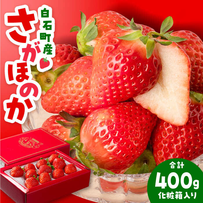【ふるさと納税】【先行予約】【農家直送】（化粧箱入り）白石産いちご「さがほのか」400g【岸川農園】イチゴ 赤イチゴ 苺 果物 フルーツ 佐賀県 白石町 [IAP003]