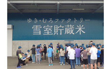 【定期便５kg×６回】雪室貯蔵米 魚沼産つきあかり（令和７年産）