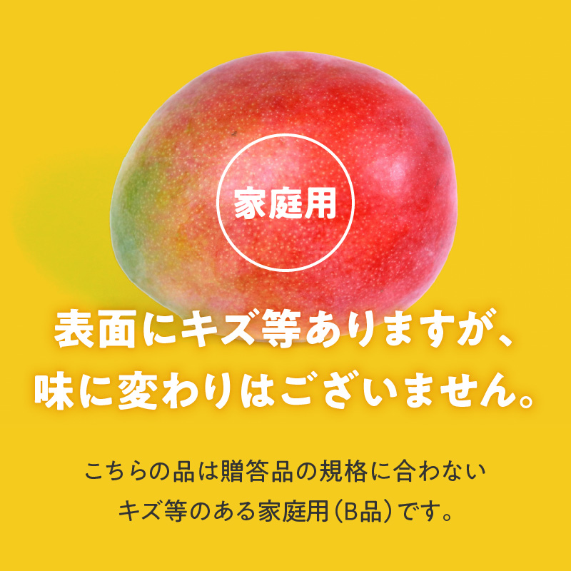 【2027年7月以降お届け】【家庭用】くるめで育った完熟マンゴー（3～4玉：約1.5～1.8kg）_家庭用 トロ～ッと口のなかでとろける くるめで育った 完熟マンゴー 3玉 ～ 4玉 甘い 子供も安心