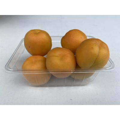 ふるさと納税 長野市 【先行受付】JAグリーン長野　あんず　500g×4パック |  | 01