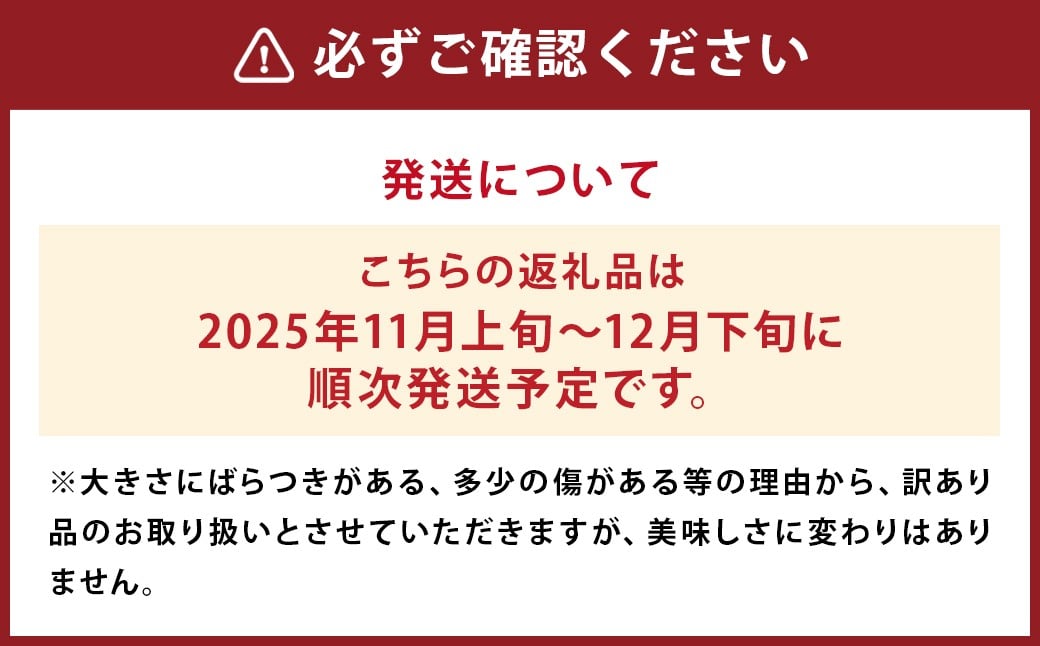 太陽と潮風を浴びて育った 長崎県時津町産 温州みかん 約5kg【訳あり】 