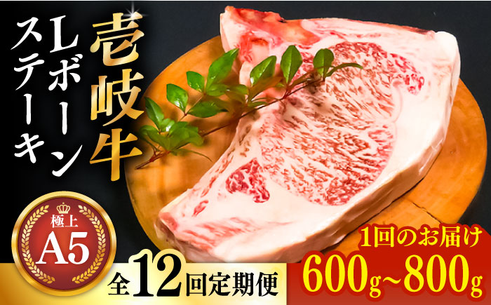 【全12回定期便】極上 壱岐牛 A5ランク Lボーンステーキ 約600~800g（雌）30日間熟成《壱岐市》【KRAZY MEAT】[JER020] ステーキ ヒレ 赤身 Lボーン 牛 骨つき肉 サーロイン 804000 804000円