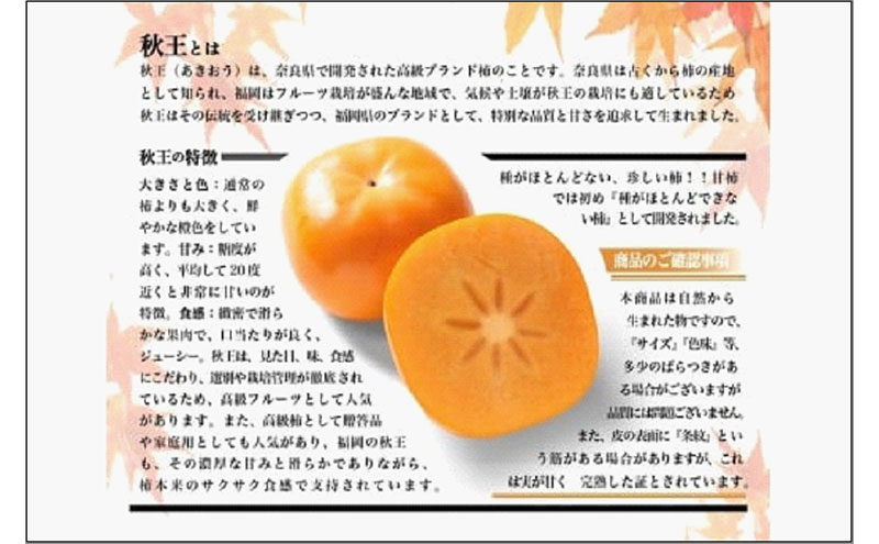 ＜2026年発送分・先行予約＞秋王　約3.5kg(11～14玉入)　柿 かき