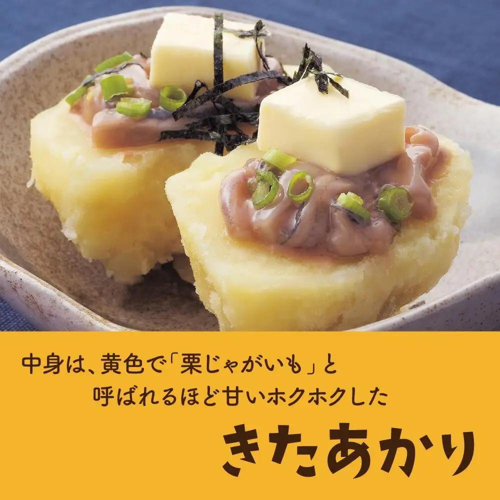 【2026年先行予約】北海道産じゃがいも（北あかり）4kg（10月中旬発送開始）| じゃがいも _04563