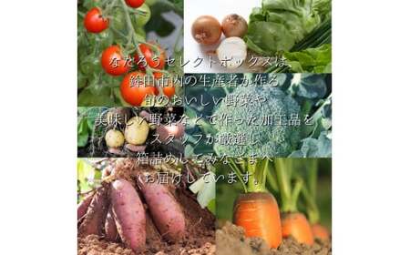 【6ヶ月定期便】野菜と加工品「なだろう」セレクトボックス