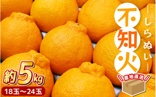 【先行予約】 ＼ みかんの名産地 和歌山県産／ 農家直送 不知火 約5kg(18～24玉) ひとつひとつ手選別で厳選【2025年2月中旬頃発送予定】 不知火 デコポン みかん 果物 フルーツ 柑橘 予約【hdm002A】
