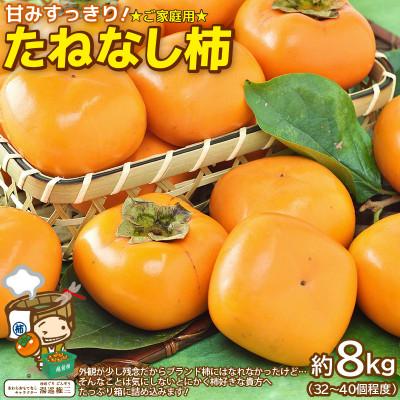 ふるさと納税 あわら市 【訳あり】 甘みすっきり!あわらのたねなし柿 約8kg(32個〜40個)(ご家庭用)