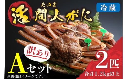 
                  （訳あり）活間人がに 2匹 Aセット 配送時期選べる 平七水産　間人がに 間人ガニ 間人蟹 たいざがに たいざガニ　HI00007_01-HI00007_05
                